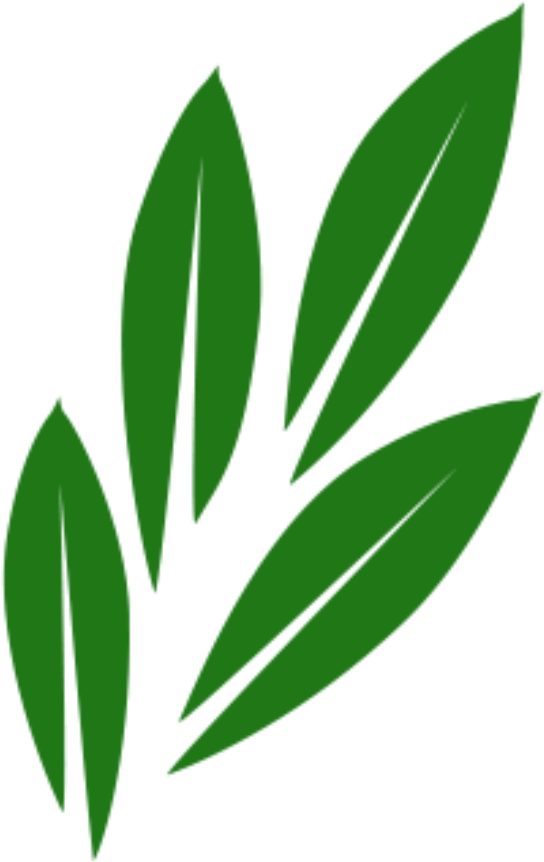 Olivenblätter - Gerbstoff der Natur Logo